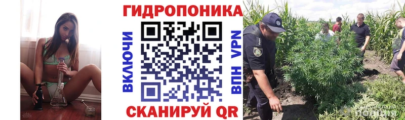 Купить где  Курск  Бошки марихуана ГИДРОПОН 